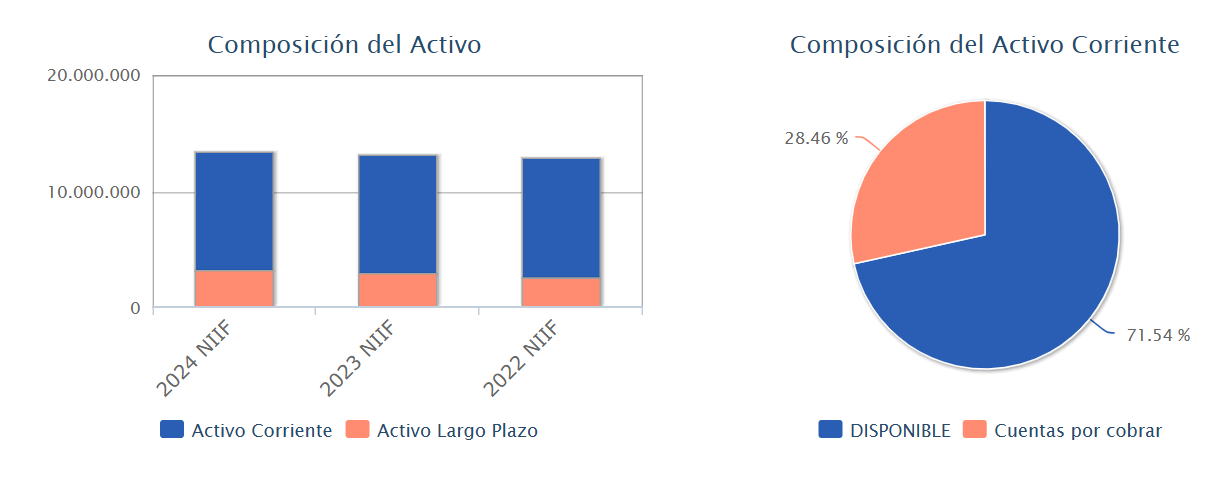 Composici&oacute;n del Activo
