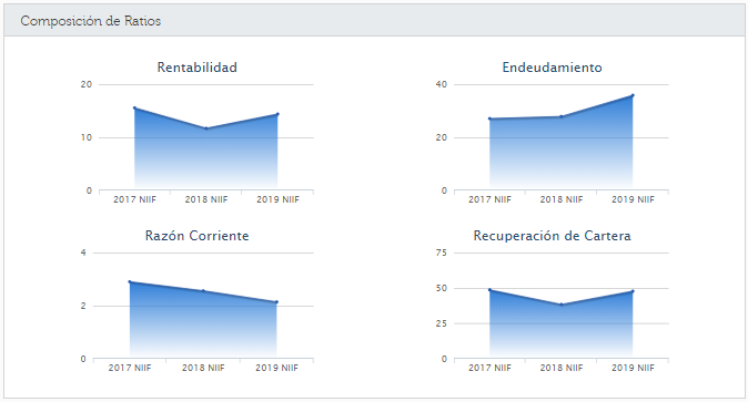 Estados Financieros (Balance General - Indicadores)