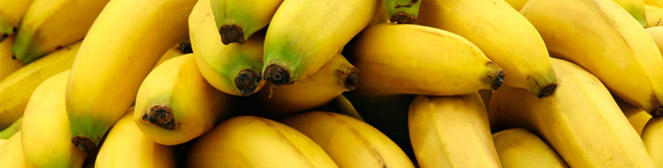 Presentacion del Banano